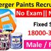 Berger Paints India Limited Recruitment