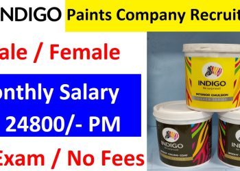 Indigo Paints Company Recruitment