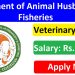 Department of Animal Husbandry and Fisheries Veterinary Officer Recruitment 2025 Apply Online