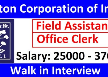 CCI Recruitment 2025